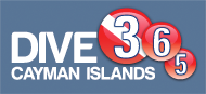 Dive Cayman