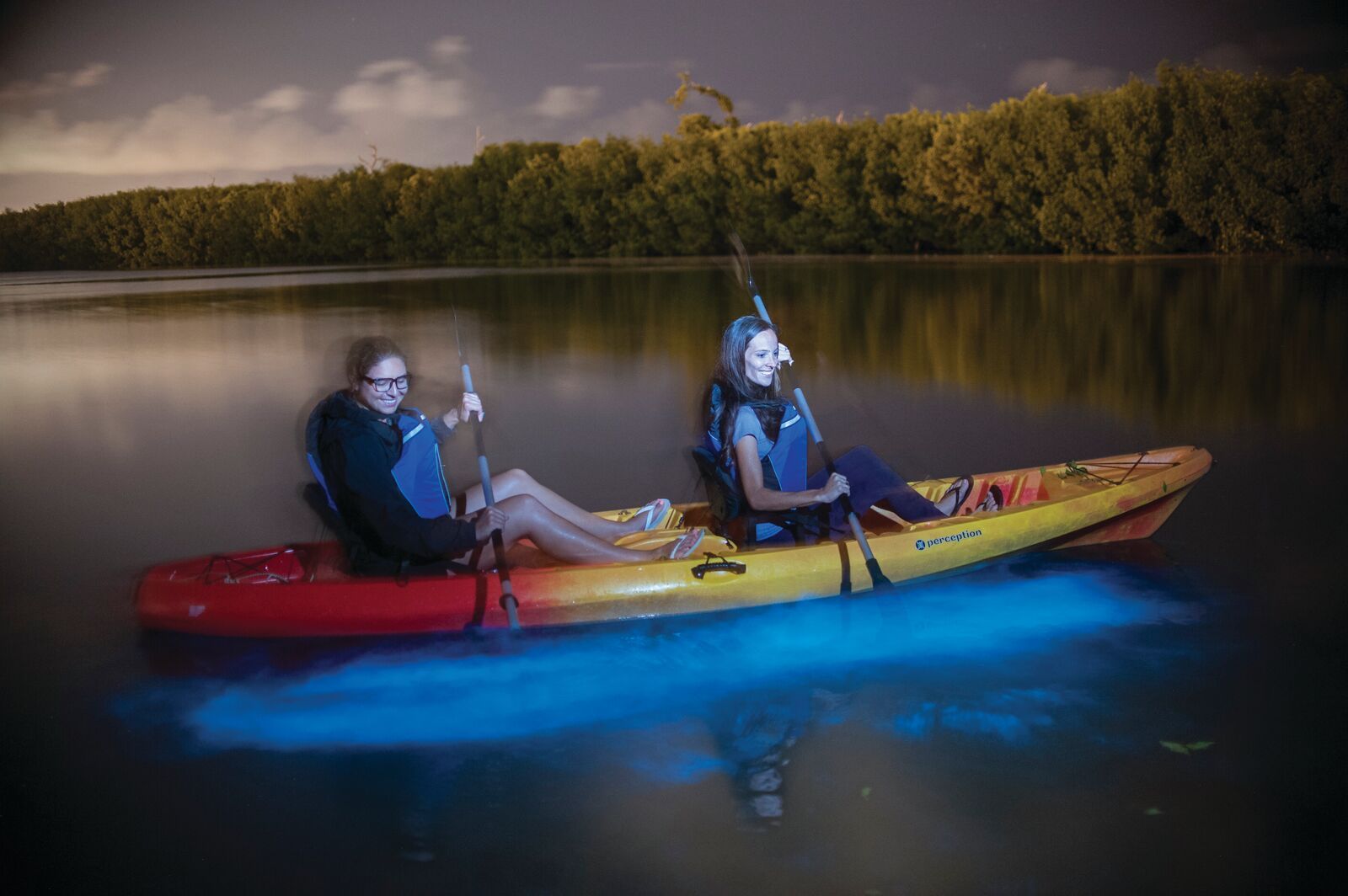 Bioluminescent Bay 