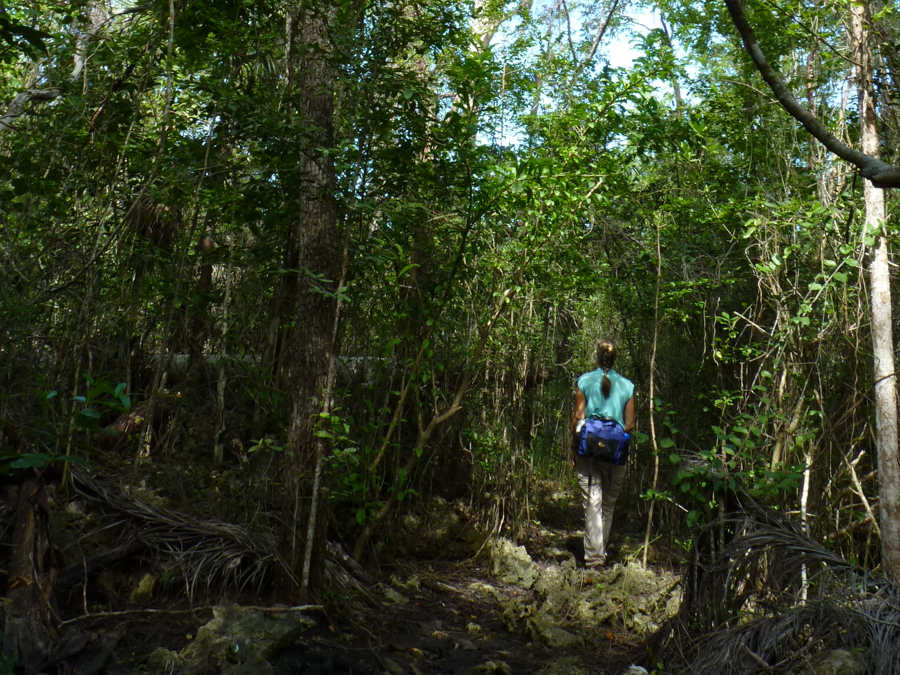 Mastic Trail