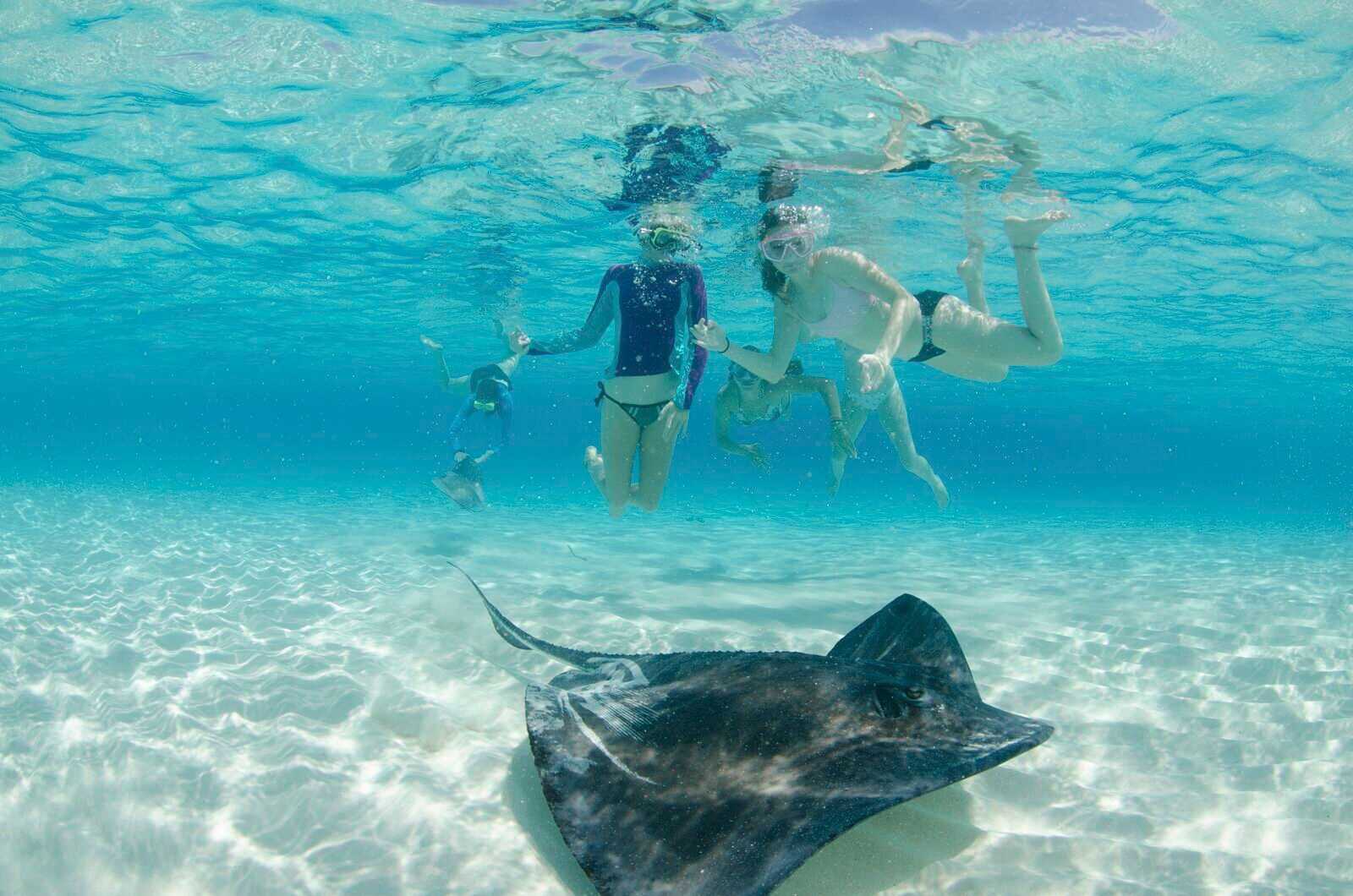 Stingray City