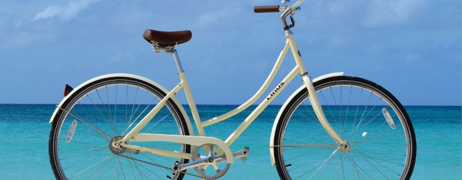 Transportation
