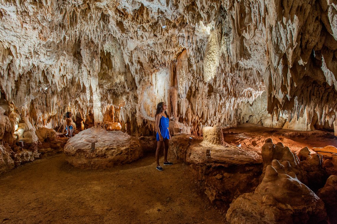 ​10 Can't Miss Shore Excursions in the Cayman Islands