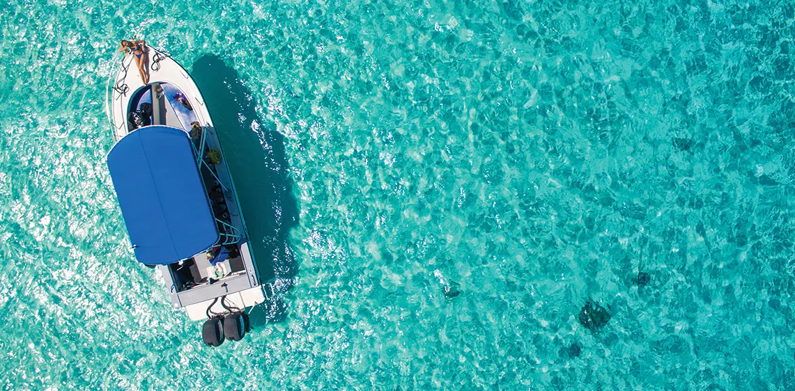 Saiba como é nadar com arraias em Stingray City, nas Ilhas Cayman