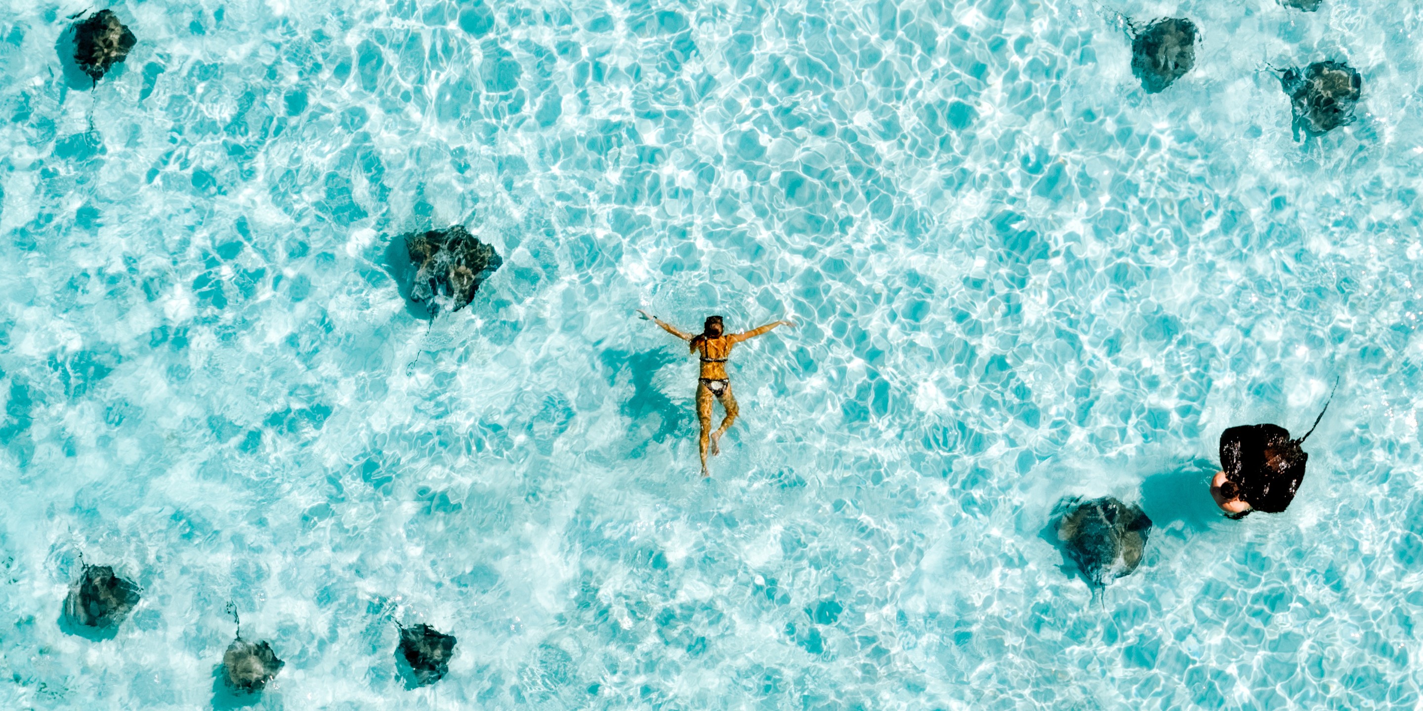 STINGRAY CITY