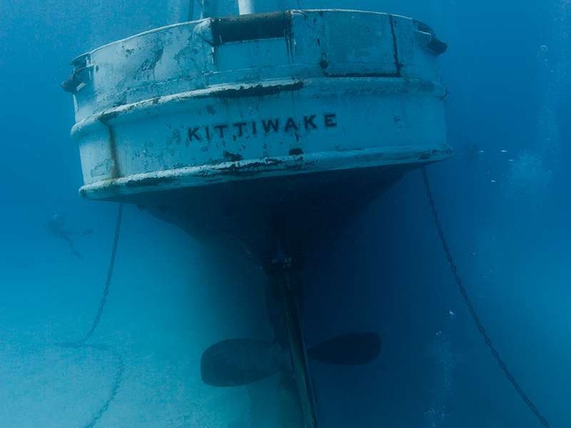 Explore the fascinating shipwreck of Kittiwake