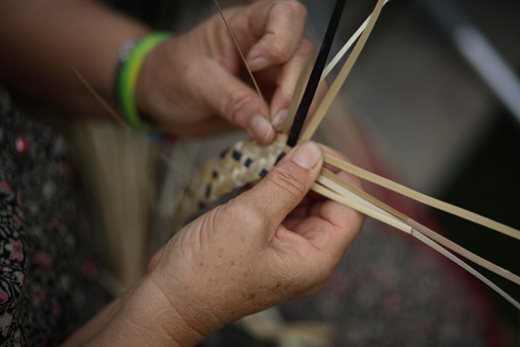 Silver Thatch: A tapestry of Nature &amp; Heritage 