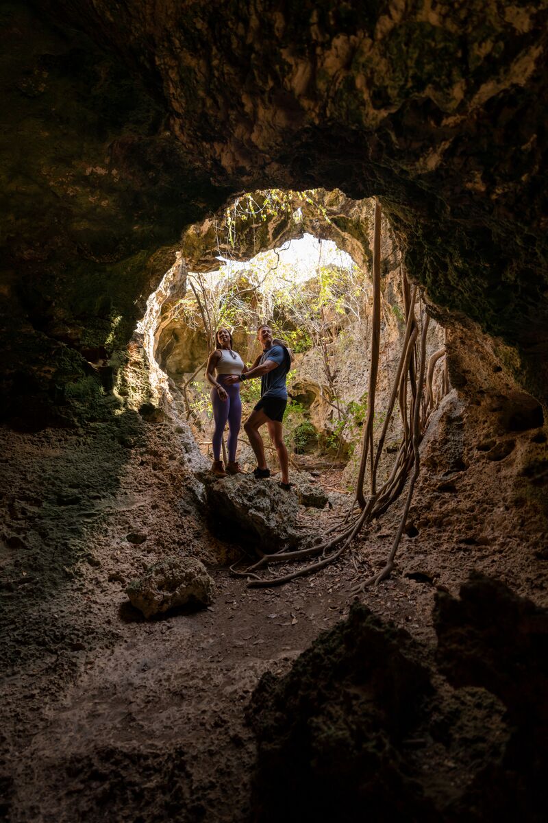 Large-CYB_Exploration-80