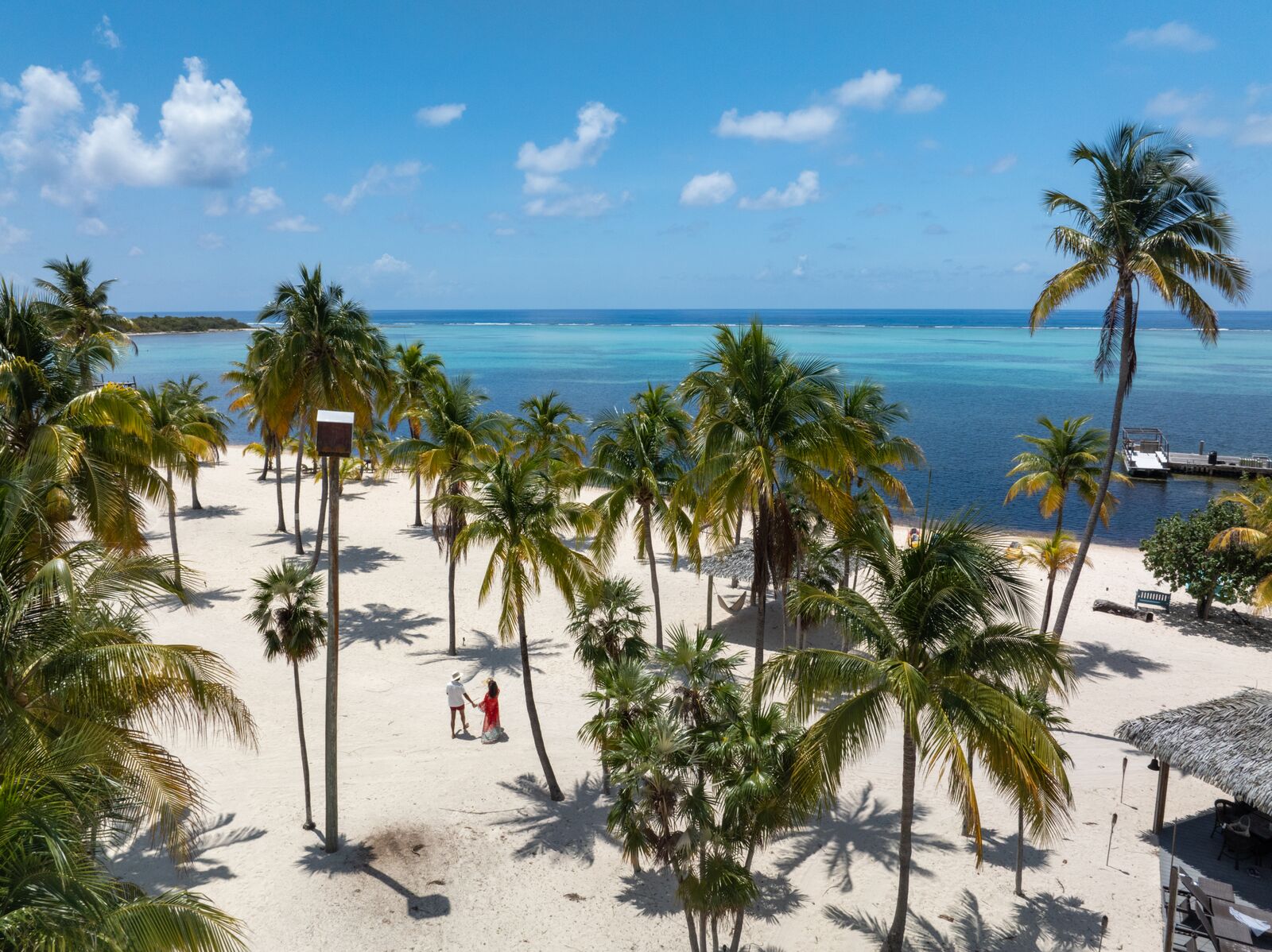 Large-LCM_Trees_SouthernCrossClub-11