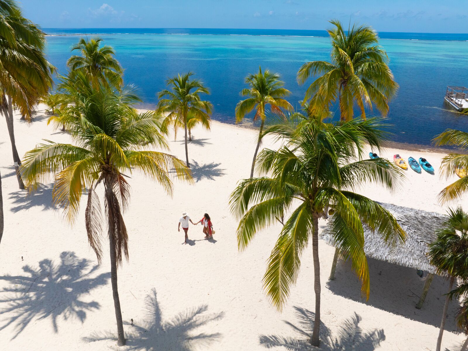 Large-LCM_Trees_SouthernCrossClub-13