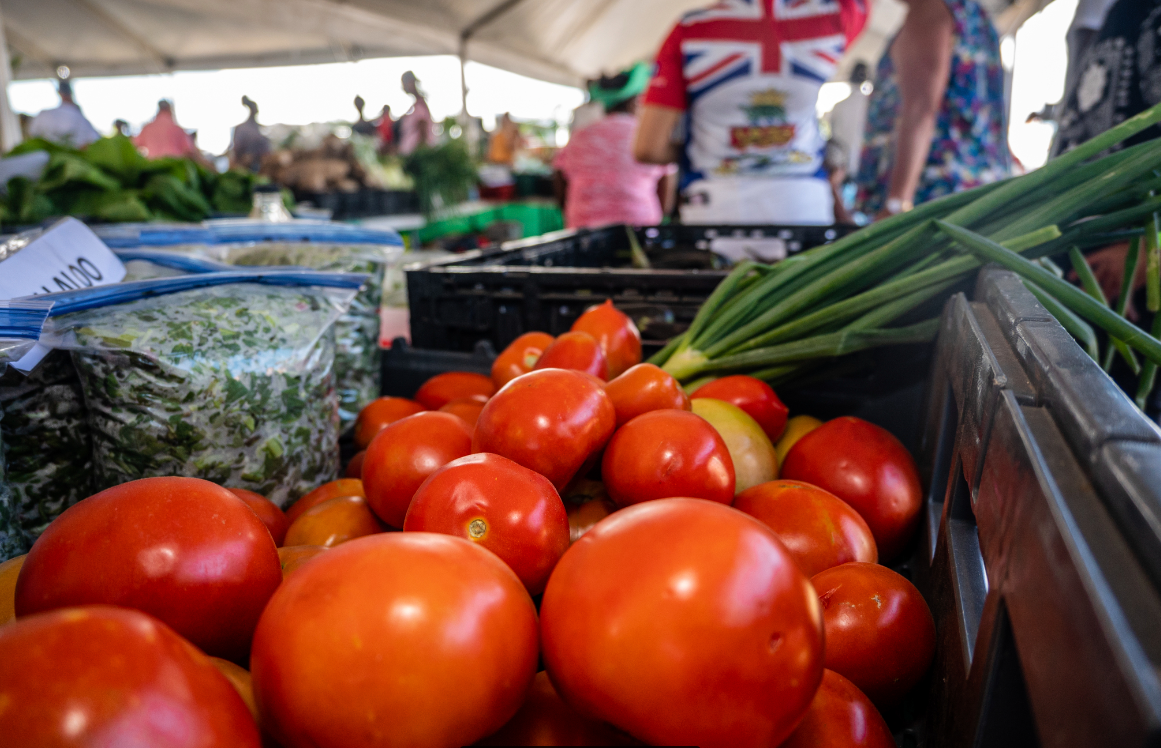 AGRICULTURAL SHOW