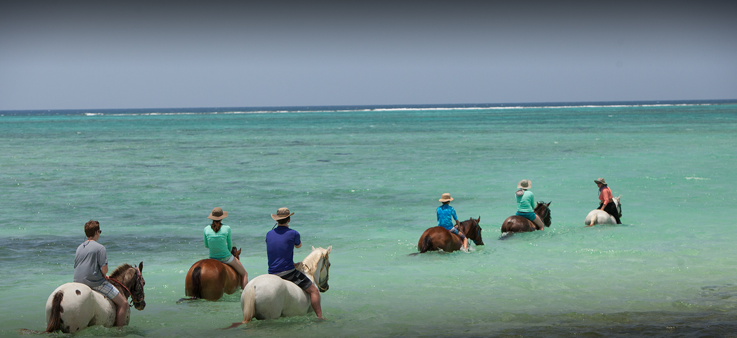 Horseback Riding