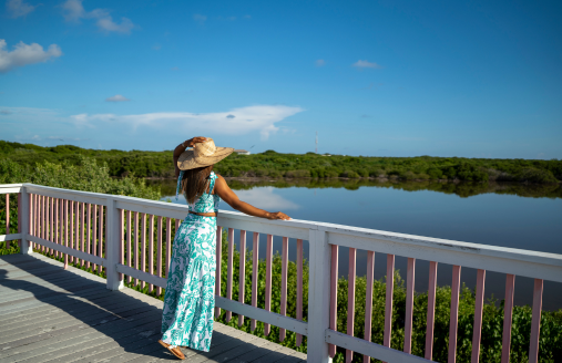 Booby Pond Little Cayman