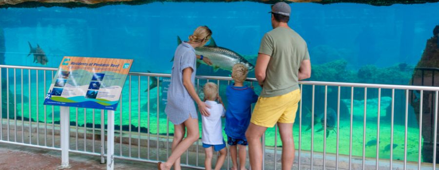Family Activities